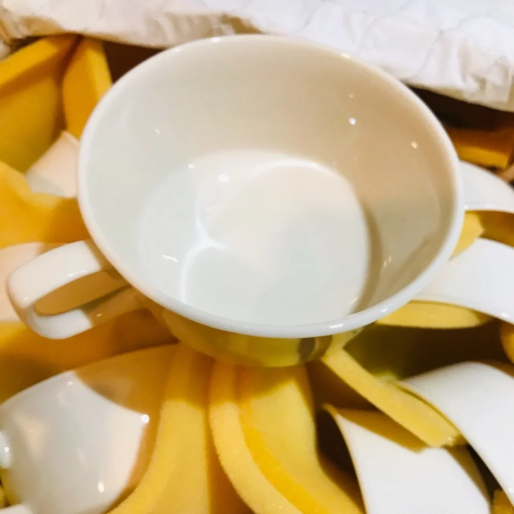 HALSEY FINE CHINA SET OF 11 CUPS 6 Oz